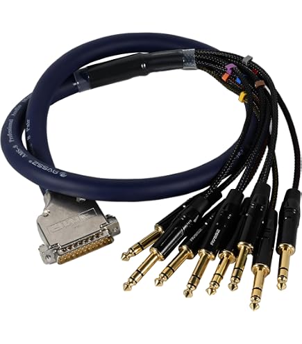 Amazon.com: Elite Core DB25XF5 25-Pin D-Sub to 8 XLR Female