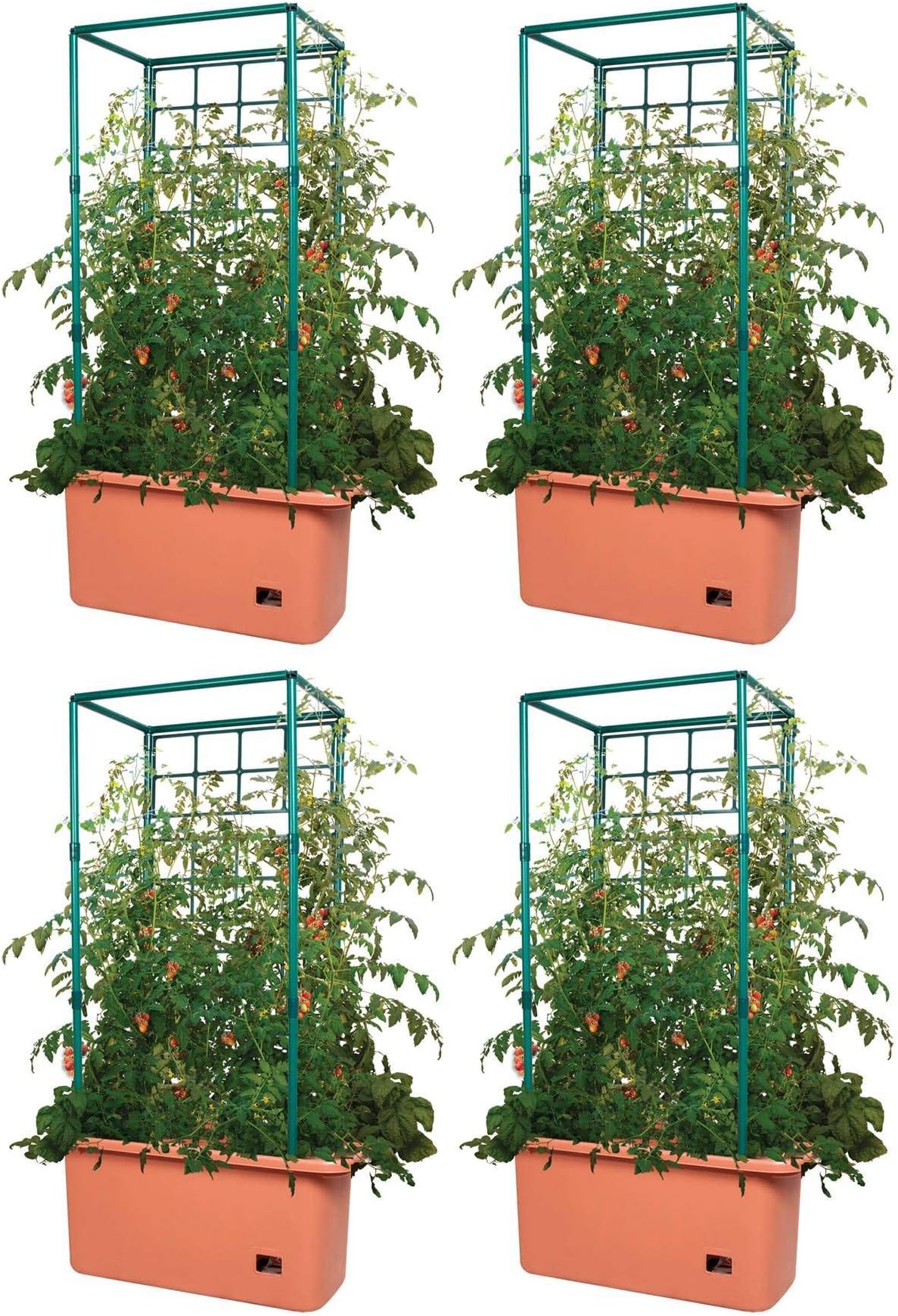 Hydrofarm GCTR 10 Gal Tomato Trellis Self Watering Garden Grow System on Wheels (4 Pack)