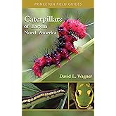 Caterpillars of Eastern North America: A Guide to Identification and Natural History (Princeton Field Guides)