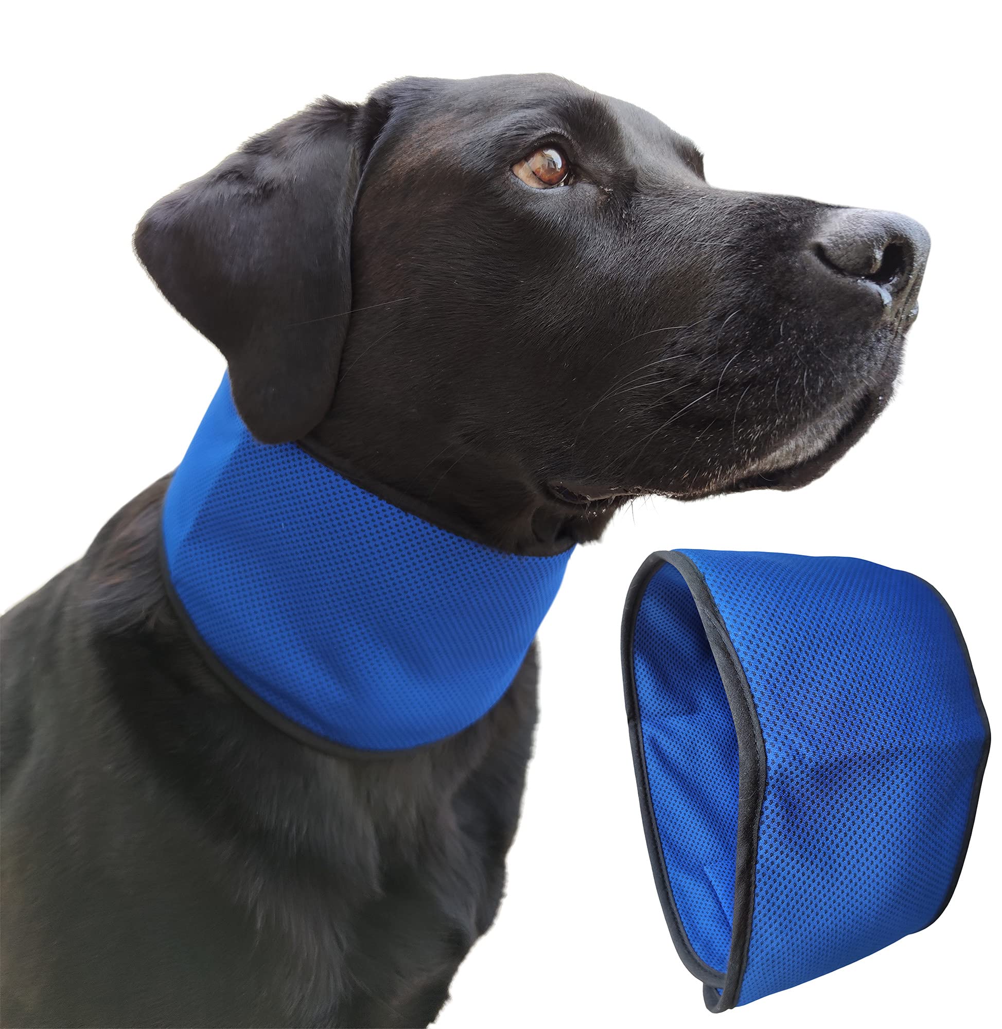 Lautus Pets Dog Cooling Bandana - Quick, Lightweight & Portable for Dogs - Easy to Use Dog Cooling Collar - Helps Prevent Overheating, Perfect for Owners & Carers (Large)