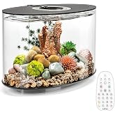 biOrb Loop 15 Acrylic 4-Gallon Aquarium with Multi-Color Remote-Controlled LED Lights Modern Compact Tank for Tabletop or Desktop Display, Black-Trimmed Tank