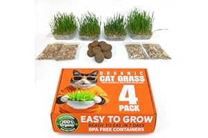 ANVEVO Organic Cat Grass Premium Grow Kit 4 Pack | Non GMO Mixed Heirloom Seeds | Wheatgrass - Oat Grass - Barley Grass Blend