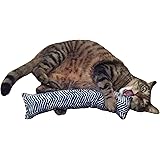 kitty kick stix amazon