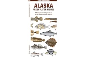 Alaska Freshwater Fishes (Nature Observation North America)