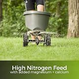 Garden Lawncare Guy Dark Green Lawn Feed High Nitrogen Fertiliser 90 Day Greens view 6