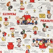 SNOOPY　シルクスクリーン HYBRID APPAREL - Peanuts - Snoopy Woodstock Surf - Women's