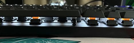 Review Image by Amazon Customer Amazon Customer