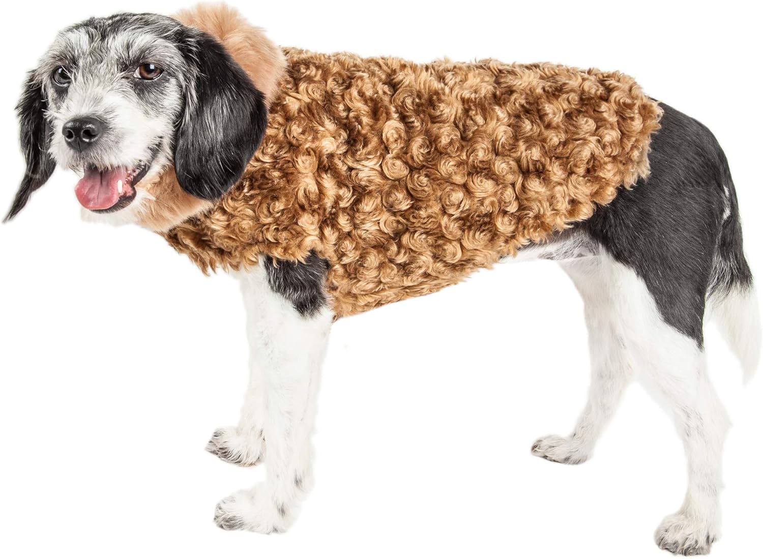 dog fur jacket
