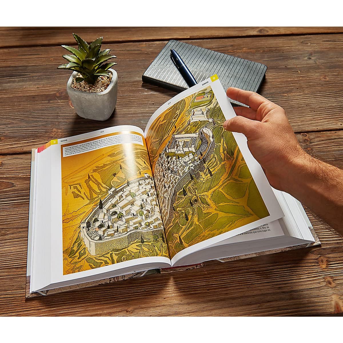 Diccionario Bíblico Ilustrado Holman | Holman Illustrated Bible Dictionary (Spanish Edition)