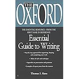 Essay writing the essential guide by david gauntlett 04 picture