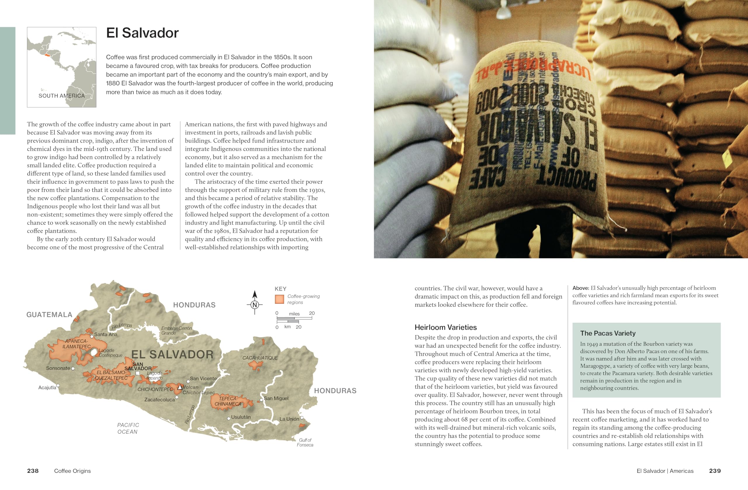 The World Atlas of Coffee 3rd edition: From beans to brewing – coffees explored, explained and enjoyed The World Atlas of Coffee 3rd edition: From beans to brewing – coffees explored, explained and enjoyed Hardcover Audible Audiobook Kindle