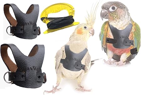 avianweb ez bird harness with leash