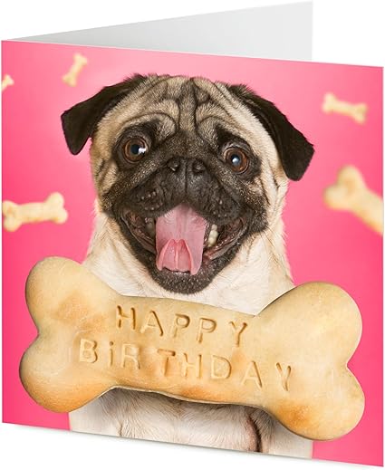 Beau Chien Carlin Personnalise Anniversaire Carte De Vœux