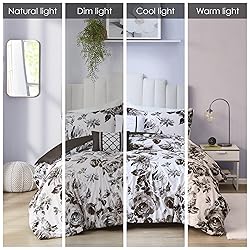 Intelligent Design Dorsey Comforter Reversible