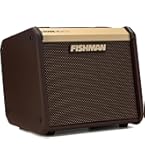 fishman18本セット Fishman Loudbox Performer BT 180-watt Acoustic Guitar