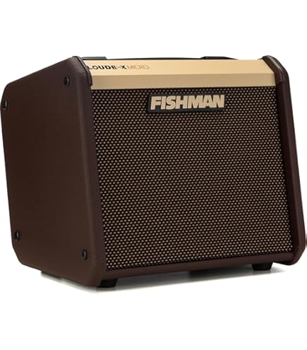 Amazon.com: LR Baggs Element Active System : Musical Instruments