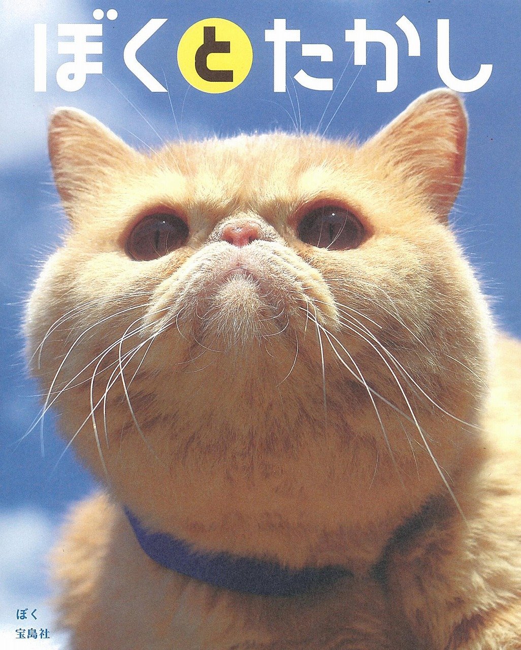 ぼくとたかし ぼく 本 通販 Amazon