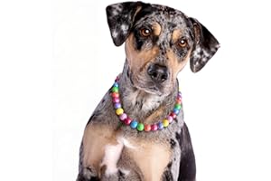 JOGIA® Rainbow Dog Collar, Adjustable Dog Necklace with Colorful Beads for Small, Medium & Large Breeds, Fashionable Girl Dog