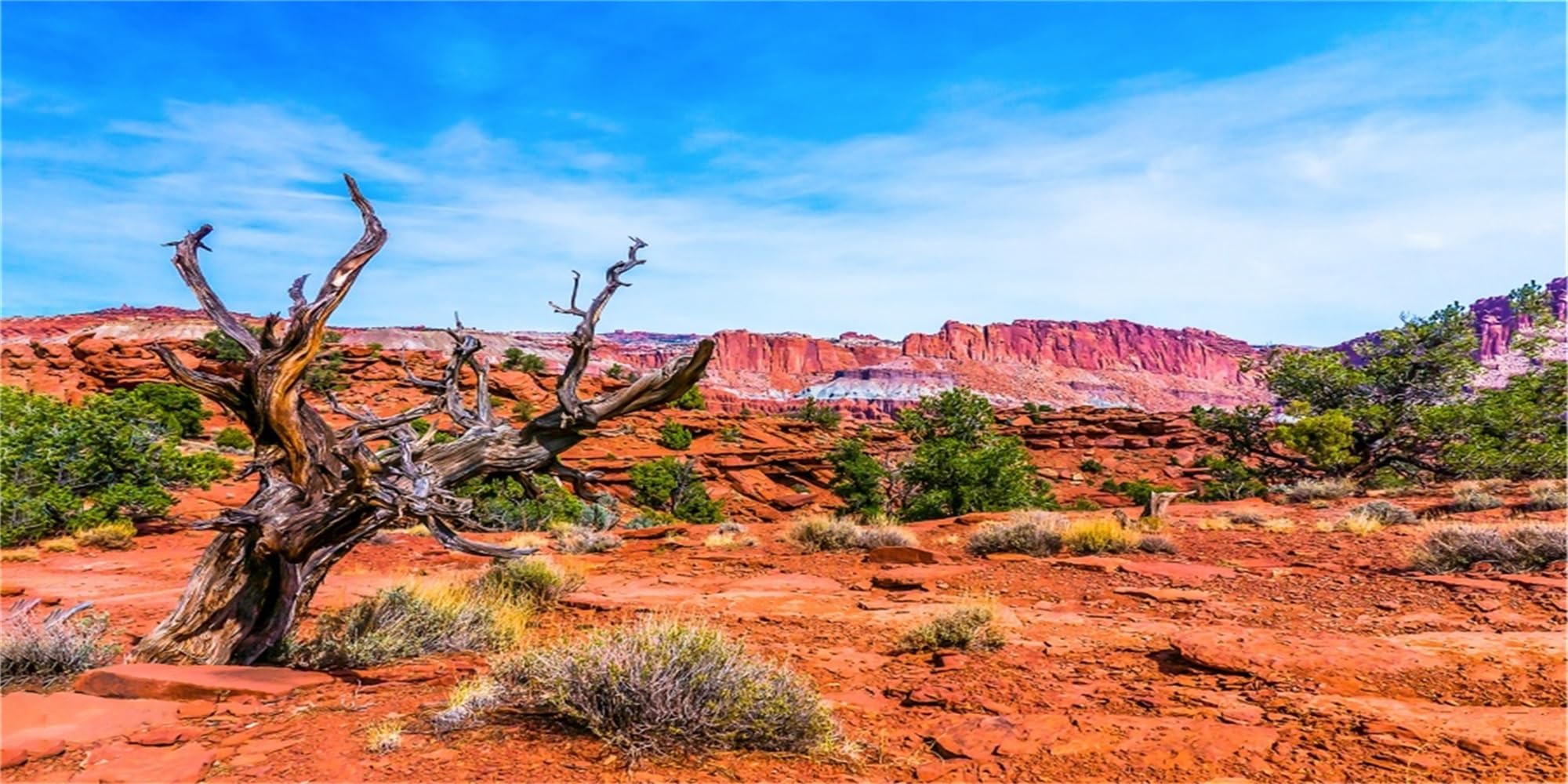 MIRRORANG 91x50cm Durable Vinyl Background Reptile Habitat Background Blue Sky Oasis Orange Desert Terrarium Background