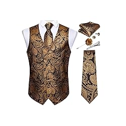 DiBanGu Mens Vest and Tie Set Formal Paisley
