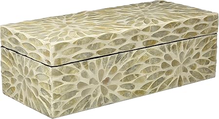 Moycor Caja, Nácar, Natural, 30x13x10 cm: Amazon.es: Hogar