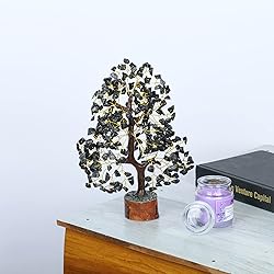 YUVDIPR Black Tourmaline Tree of Life of Life