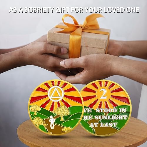 CHURYUML Year Sobriety Coin Sunlight of The Spirit Sobriety Chip