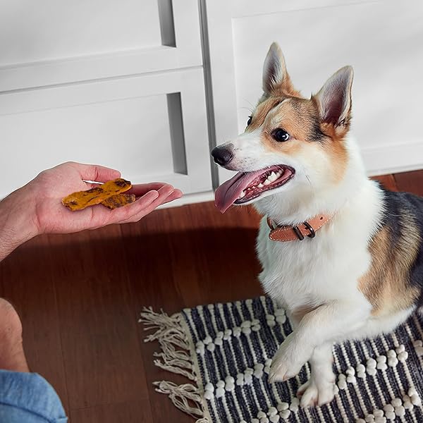 RACHAEL RAY NUTRISH TURKEY BITES TURKEY RECIPE WITH HICKORY SMOKE BACON FLAVOR DOG TREATS, 12 OZ. POUCH
