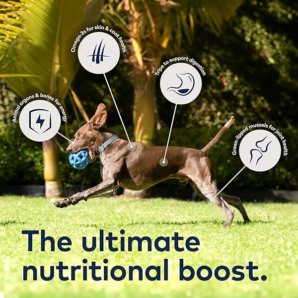 ZIWI PEAK AIR-DRIED DOG FOOD – MACKEREL & LAMB – ALL NATURAL, HIGH PROTEIN, GRAIN FREE, LIMITED INGREDIENT W/ SUPERFOODS (35.2OZ)