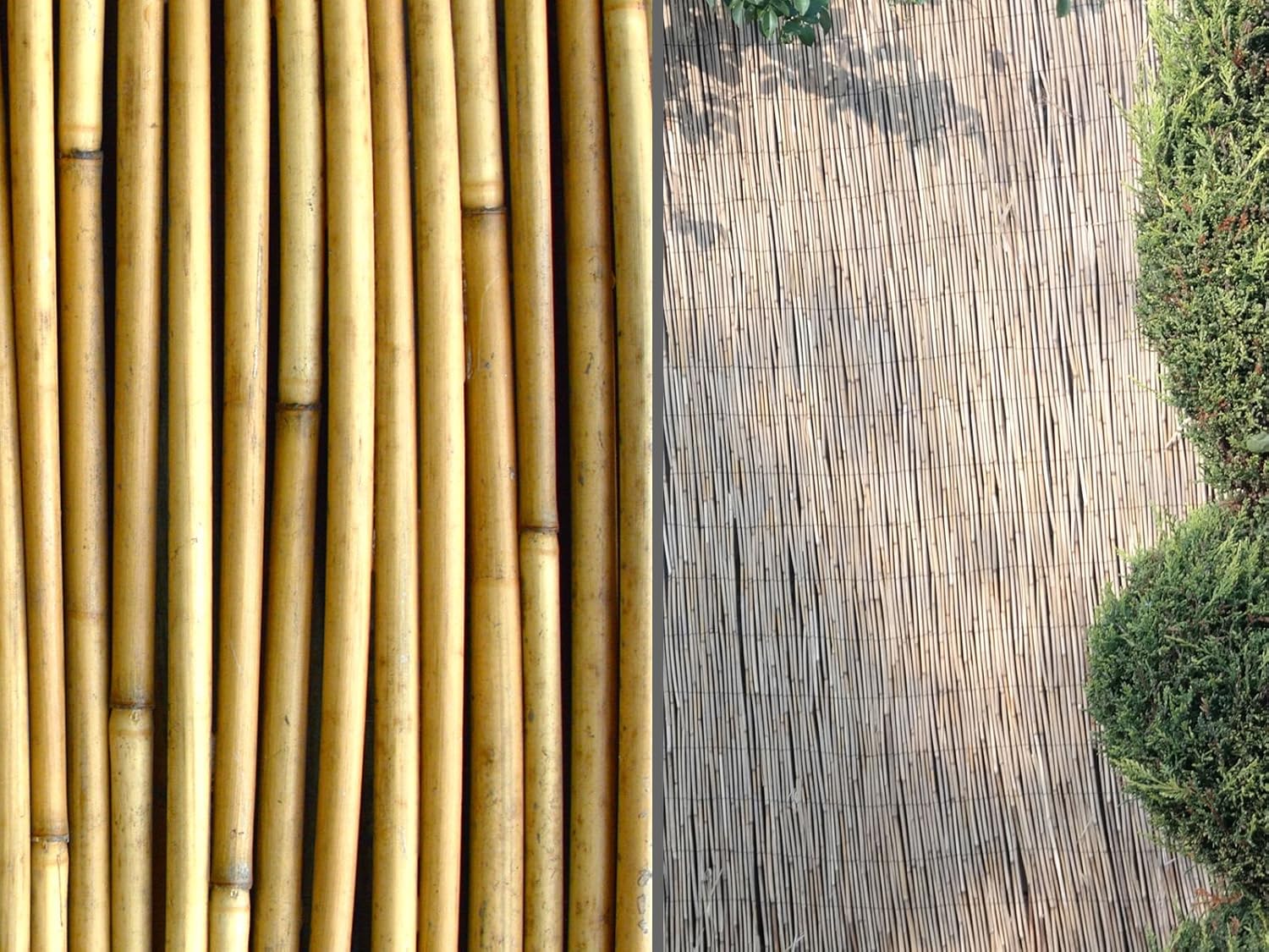 Natural Peeled Reed Screening Roll Garden Fencing Screen Fence Panel