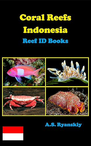 Download Coral Reefs Indonesia: Reef ID Books (English Edition) PDF