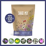 Seedball Shade Mix Wildflower Seed Bombs 100 Balls British Native Seeds view 2