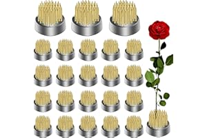 ALIMTEE 24Pcs Kenzan Ikebana Flower Frogs, Japanese Mini Kenzan Floral Frog 23mm/0.9inch Diameter Floral Ikebana Flower Arranger Pin Holder for Flower Arrangement, Plant Fixation, Plant Decoration