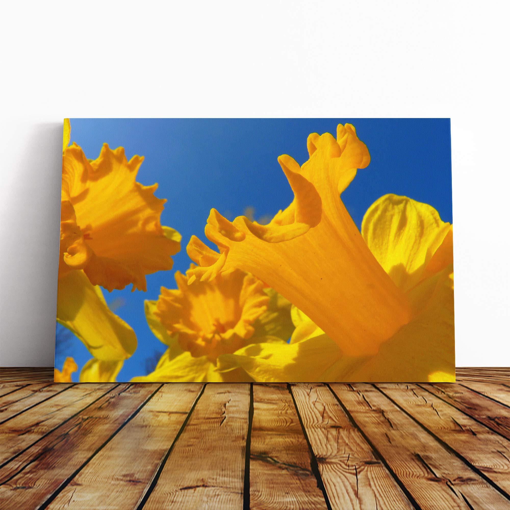 Flower Daffodil Yellow Canvas Print | Gallery Wrapped 30mm Frame Wall Art | 20x14 inches | Ready to Hang | Modern Floral Picture | Living Room Bedroom Lounge Office