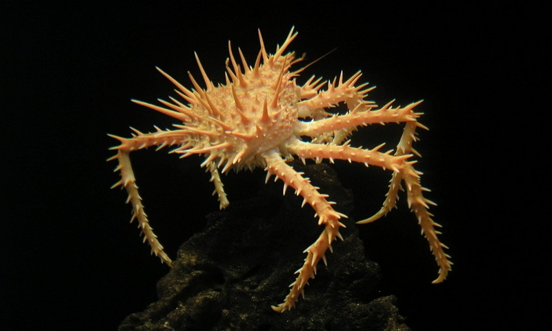 drainagepros - //medicalbooks.filipinodoctors.org