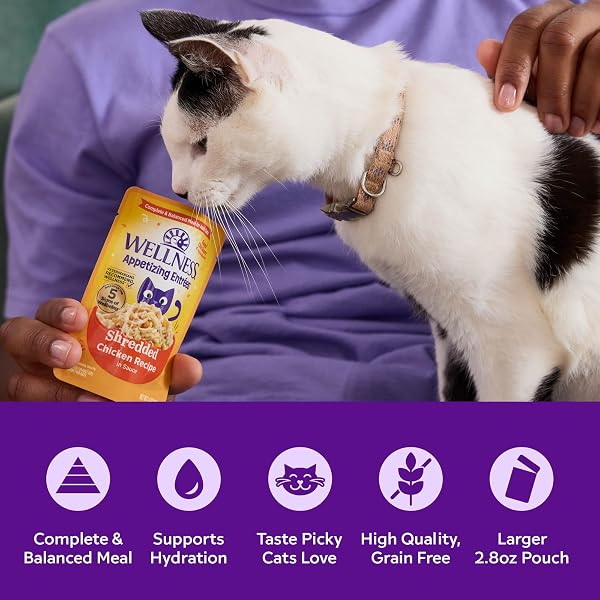 WELLNESS APPETIZING MOUSSE FLAKED VARIETY PACK ADULT WET CAT FOOD, NATURAL, PROTEIN RICH, GRAIN FREE, WHIPPED WONDERS, 2.8 OZ, PACK OF 8 POUCHES