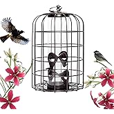 Nature's Rhythm Outdoor Hanging Bird Feeder Cage PC Tube Squirrel Proof Wild Bird Feeder with Large Metal Seed Guard Deterrent Green