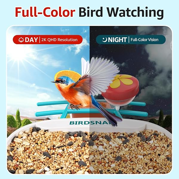BIRDSNAP® TUC BIRD FEEDER WITH CAMERA 2K HD, SOLAR PANEL 32GB CARD 4-IN-1 PERCH, 160°VIEW AUTO DETECT & NOTIFY AI IDENTIFY VIDEO BIRD CAMERA WIRELESS OUTDOORS IDEAL GIFT FOR BIRDS LOVER