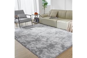 FAIRBLINK Super Soft Rugs for Living Room, 4X6 Fluffy Shag Area Rugs, High Pile Soft Carpet for Bedroom and Kids Room, Home Decor, Tie-Dyed Light Grey