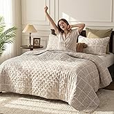 BOV Beige Cream Tan Queen Size Quilts Bedding Sets, Neutral Lightweight Soft Bedspread Coverlet with 2 Pillow Shams, Quilted Blanket Thin Comforter Bed Cover for All Season, 3 Pieces, 92x90 inches