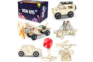 kortes 24Pack STEM Kits for Kids Classroom, Science Building Project Craft for Ages 8 9 10 11 12, 3D Wooden Model Kit, STEM Toys for Boys Girls Birthday Gifts Party Favors School Exchange Gifts