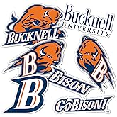 Desert Cactus Bucknell University Bison Sticker Vinyl Decals Laptop Water Bottle Car Scrapbook T2 (Type 2)