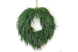 QIANYUN 24" Norfolk Pine Christmas Wreath for Front Door – Large Artificial Greenery Wreath for Wall, Porch, or Indoor Outdoor Holiday Decor – Real Touch Pine Foliage (1, 24")