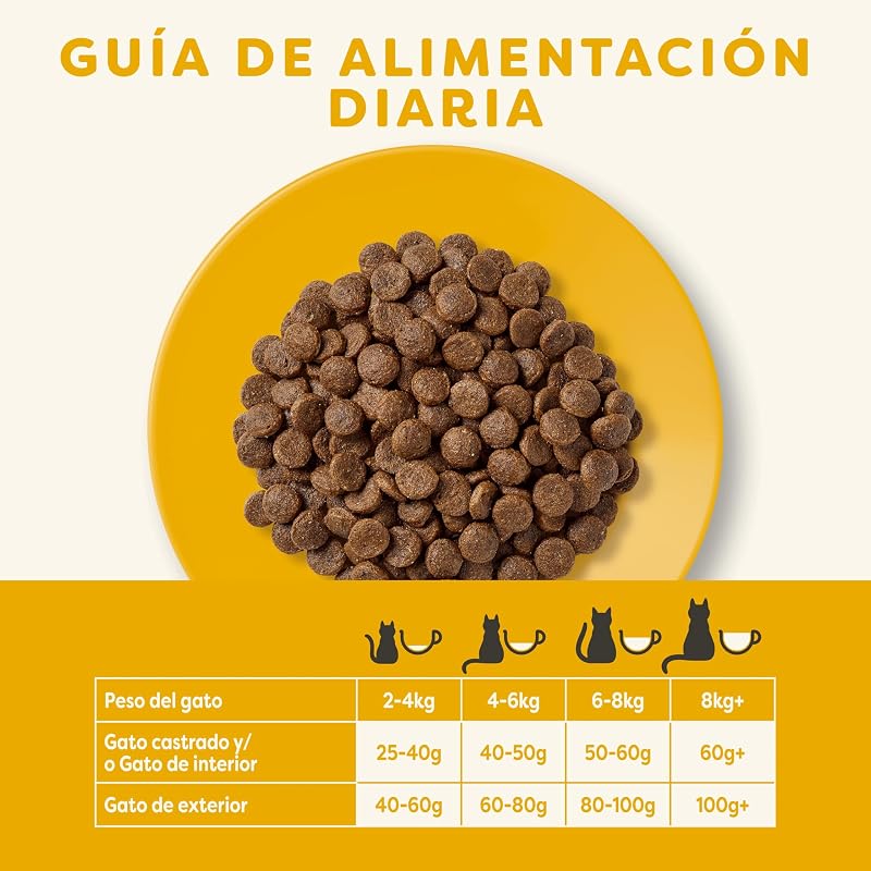 Comida seca natural sem cereais para gatos adultos, sabor de frango - 2 kg de saco selável (Verpackung kann variieren)