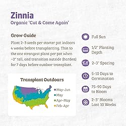 Back to the Roots 100% Organic Seed Packet - Zinnia