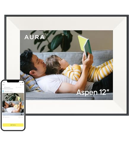 Amazon.com : Coby DP-882 8-Inch Digital Photo Frame with Built-In