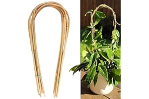 Avalution 16" Natural Bamboo Plants Trellis U-Hoop,Bamboo Gaeden Trellis U-Shape for Climbing Plant Support-20PCS