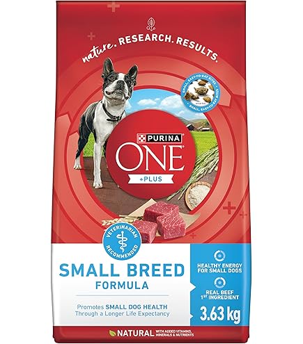 Purina ONE +Plus Dry Senior Dog Food, Healthy Aging 7+ with