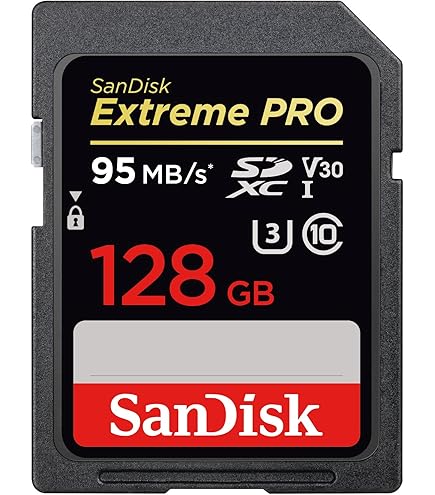SanDisk Extreme PRO 960GB MLC 高耐久SSD Amazon.com: SanDisk 512GB Extreme PRO SDXC UHS-I Card (SDSDXPA