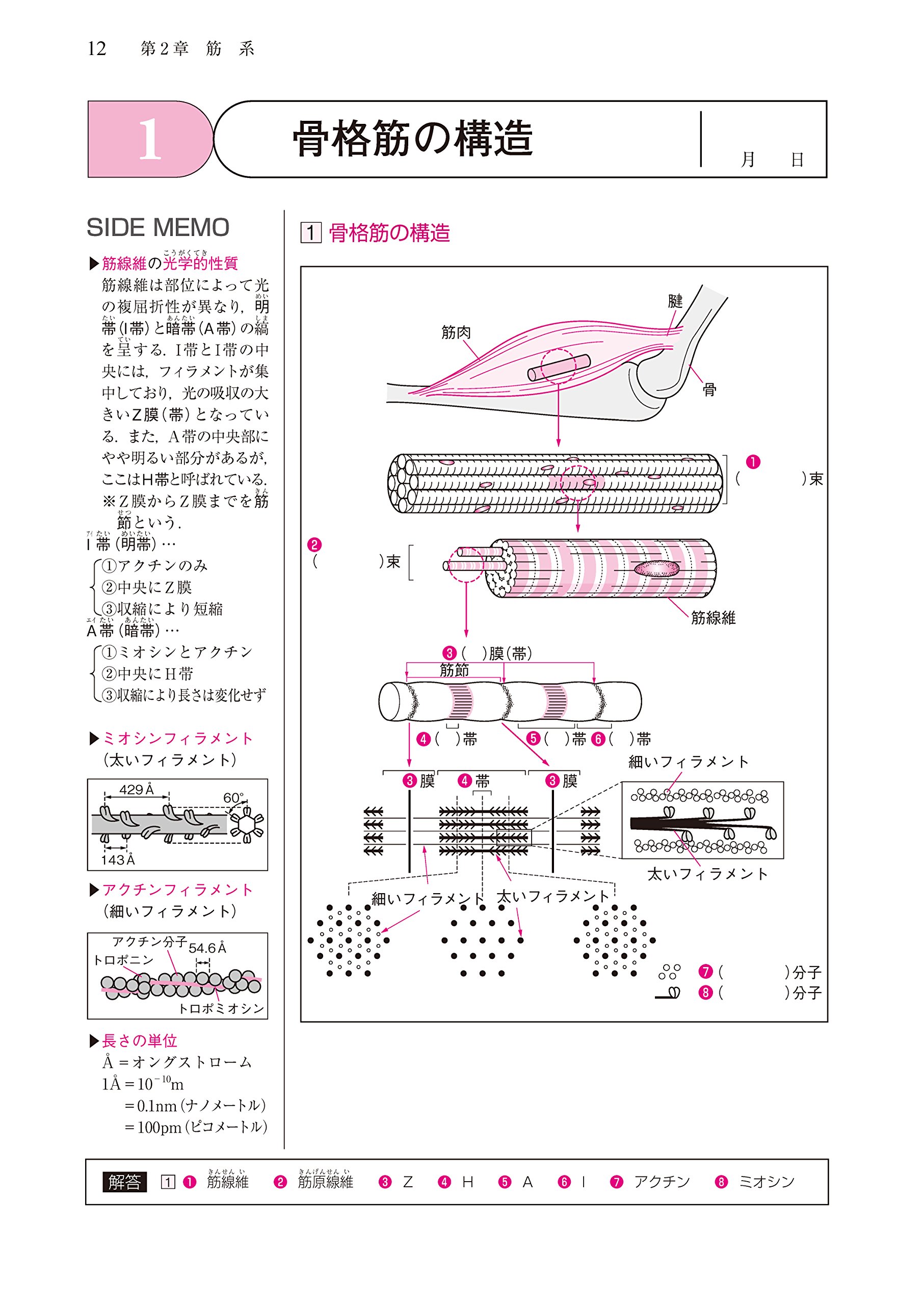 理学療法士 作業療法士 Pt Ot基礎から学ぶ 生理学ノート 第3版 Amazon Com Books